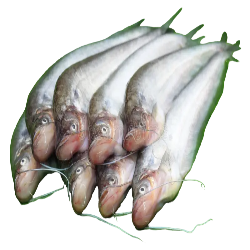 Pabda Fish Curry